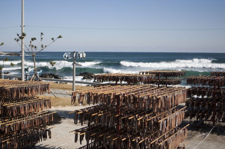 구룡포과메기 덕장