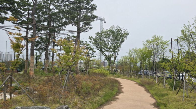 양덕 한마음체육관 전경.