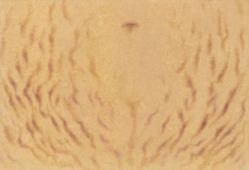 이은실, ‘흔적’(2025).