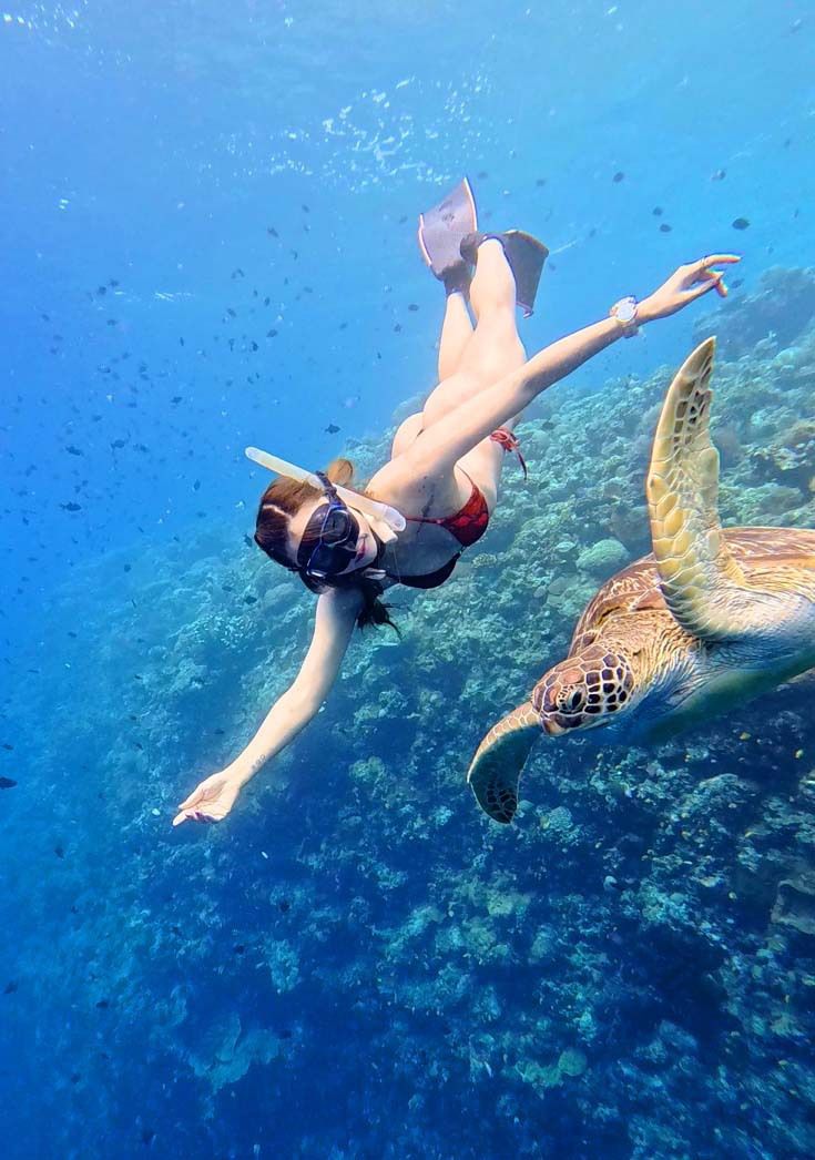 29일(현지시간) 인도네시아 마나도 부나켄 해양국립공원에서 이스타항공의 인천-마나도 첫 편을 통해 도착한 관광객들이 스노쿨링과 다이빙을 즐기며 기념촬영을 하고 있다. 마나도 부나켄 해양국립공원은 맑은 바다 속에서 1,300종 이상의 해양 생물과 370여 종의 살아있는 산호초 등을 맨 눈으로 감상할 수 있어 세계 3대 다이빙 성지로 불린다.