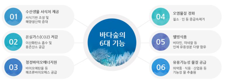 바다 숲의 6대 기능. 출처=한국수산자원관리공단