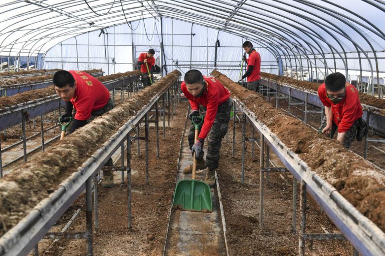 경남 산청지역 대민지원에 투입된 해병대 신속기동부대 장병들이 침수된 비닐하우스 내부의 토사를 삽으로 정리하고 있다. 해병대 제공