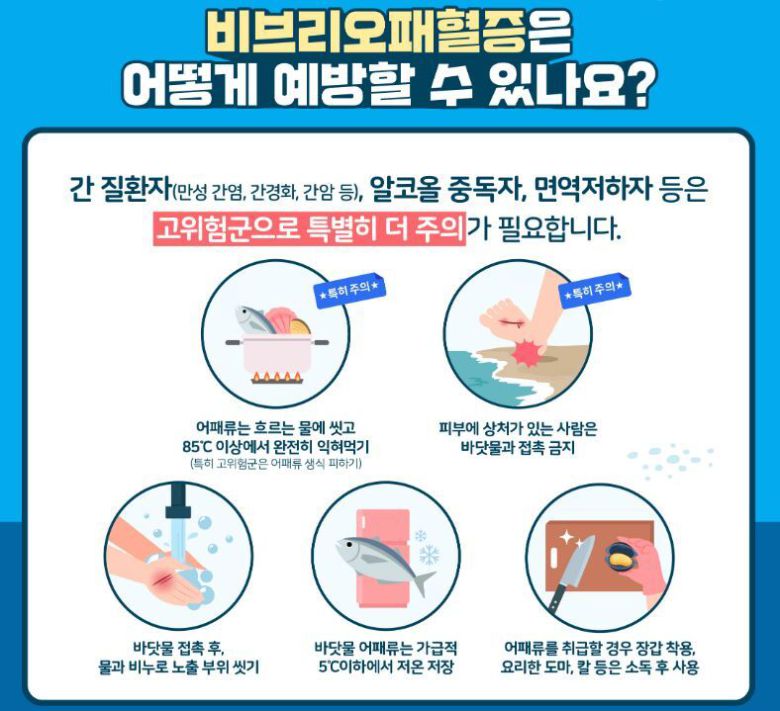 비브리오패혈증 예방 수칙. 질병관리청 제공