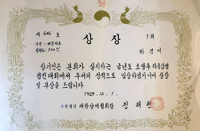 하경미 병아리 감별사가 1989년 초생추 자웅감별 경진대회에서 4분 16초 정확도 100%로 1위 입상한 상장이다.