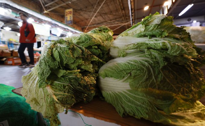 서울 마포구 마포농수산물시장에서 배추가 판매되고 있다. 사진=뉴시스