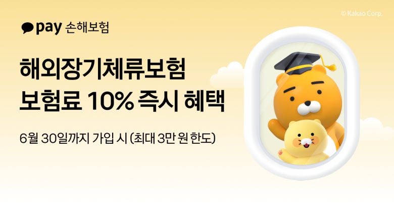 카카오페이손해보험 제공