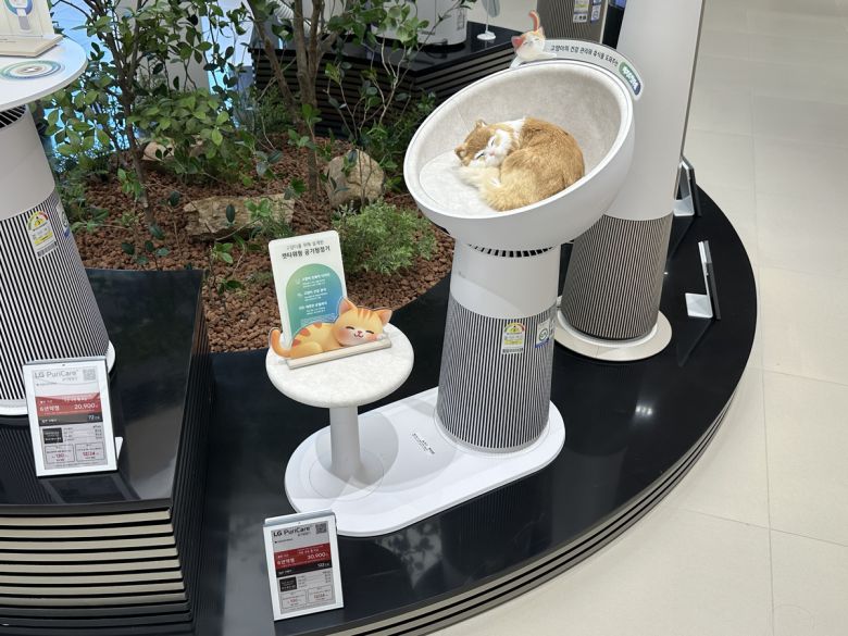 에어케어 존에 펫팸족을 위한 공기청정기 에어로 캣타워가 전시돼 있다. 이화연 기자