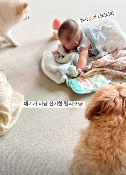 사진=지수 인스타그램