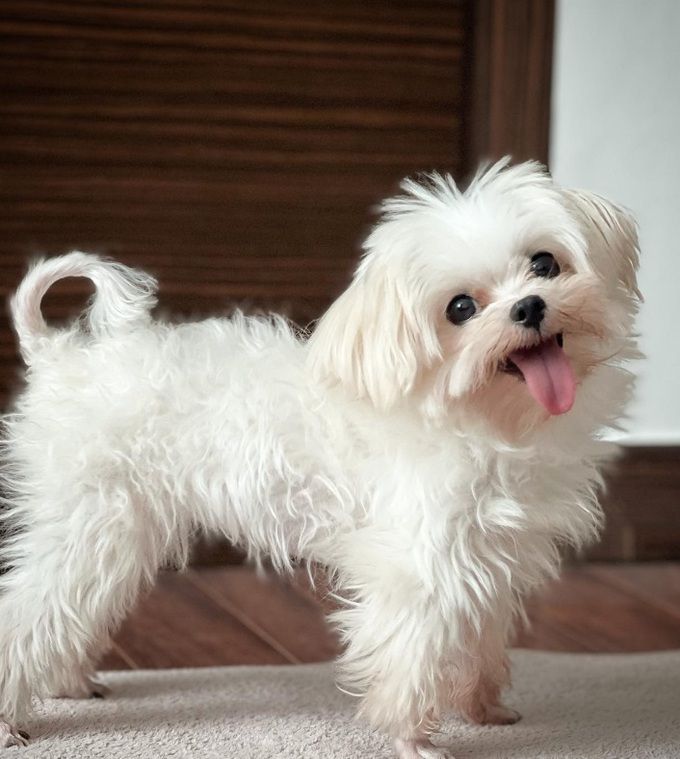 사진=남보라 인스타그램