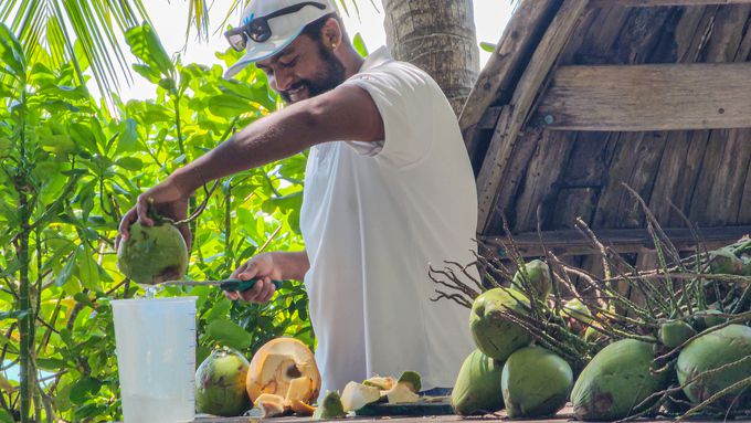 몰디브 전통요리를 만날 수 있는 카다에서는 매일 코코넛열매를 직접 따 주스로 만들어준다. 사진=정희원 기자