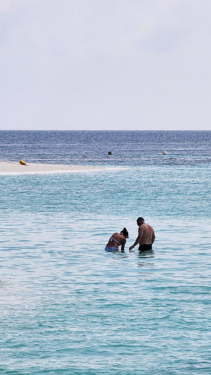 스노클링하는 투숙객들. 어디서 스노클링해도 장관이다. 사진=정희원 기자
