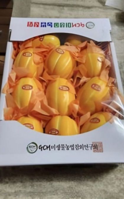 사진=온라인 커뮤니티