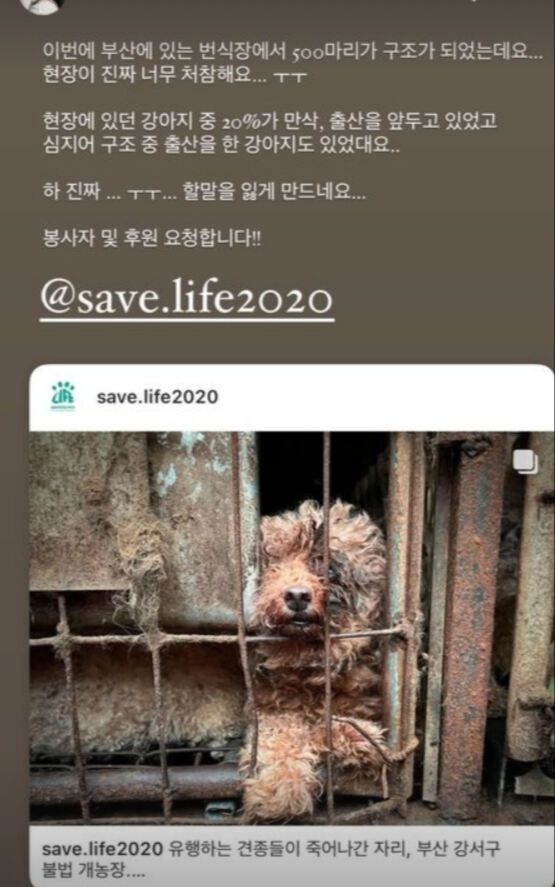 사진=남보라 인스타그램