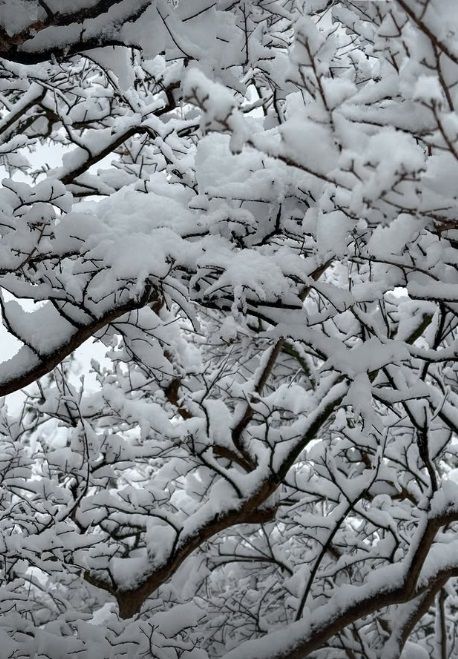 사진=이동휘 인스타그램