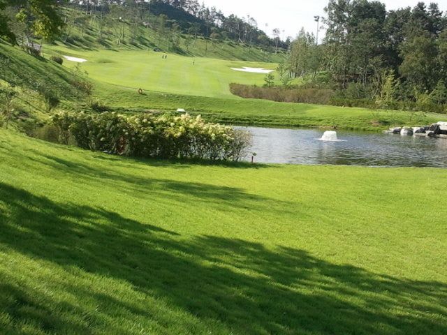 경기도 파주에 위치한 제이퍼블릭cc