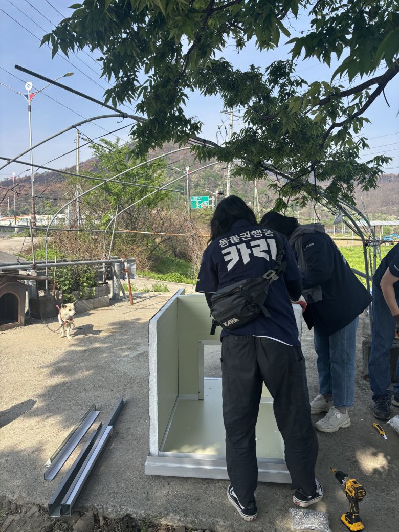 루시의친구들 회원들이 산불피해 반려견을 위한 새 집을 만들고 있다. 루시의친구들 제공