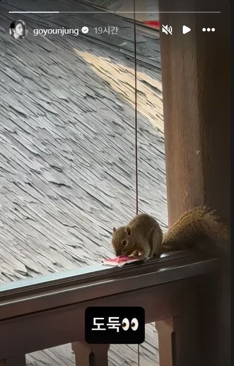 사진= 고윤정 SNS