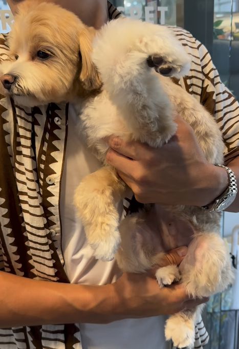 사진= 한예슬 SNS