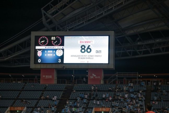 지난해 9월 K리그 역사상 최초의 반려견 동반 좌석이 운영된 제주-대구전에서 강아지 입장 관중 수가 전광판에 나오고 있다. 제주SK 제공