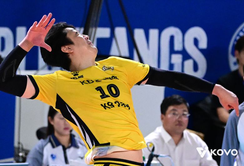 KB손해보험 나경복. 사진=KOVO 제공