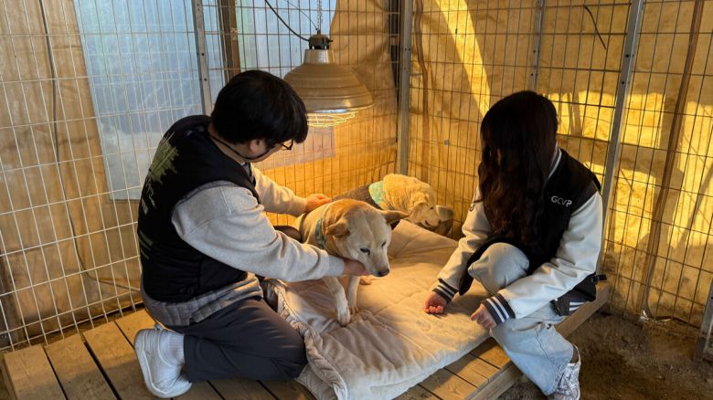 전귀호 원장과 차율하 양이 심장사상충 예방약 투약을 마친 뒤 보호견의 상태를 살피고 있다. 녹십자수의약품 제공