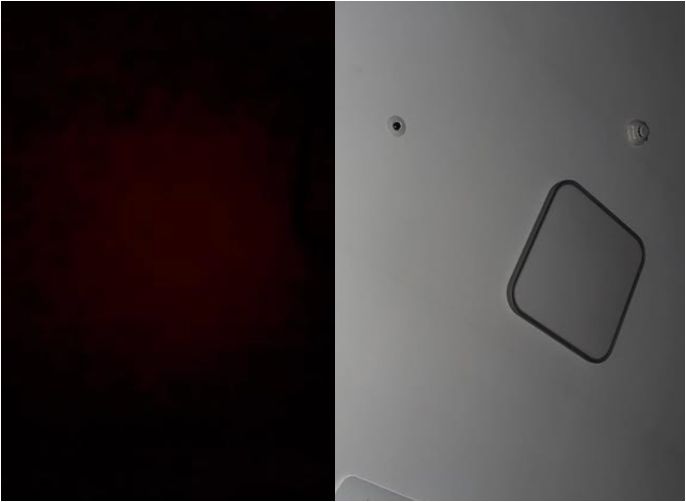 사진 = 권민아 SNS 계정