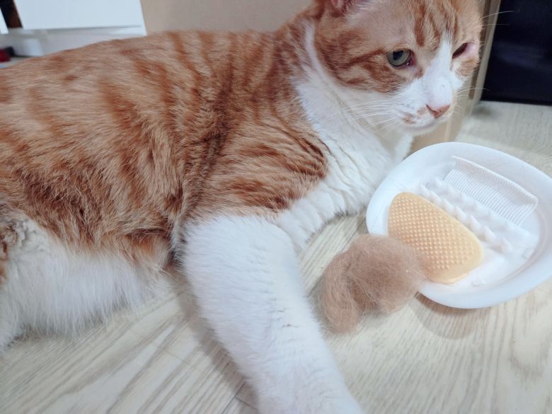 그루밍 브러시 제품과 이를 이용해서 정리한 반려묘 털뭉치. 박재림 기자