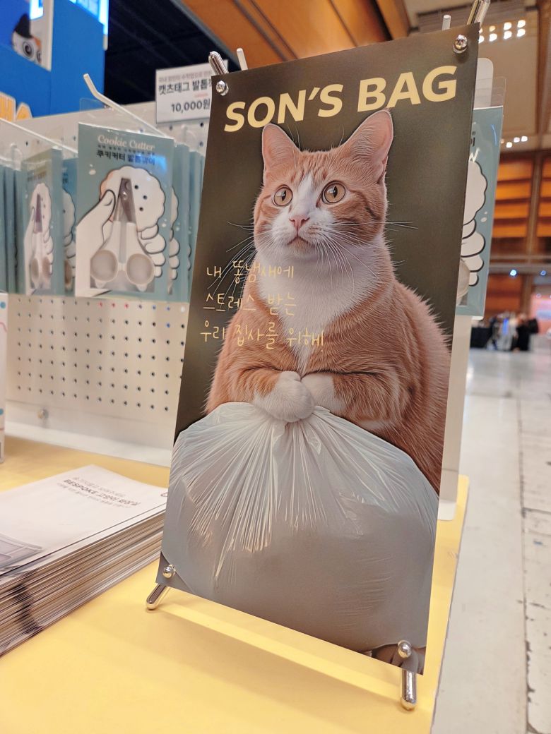 손쓰백 홍보 이미지. 박재림 기자