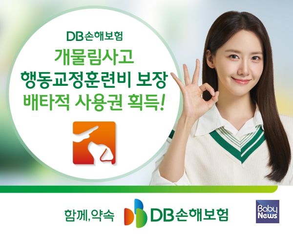 개물림 행동교정. ⓒDB손해보험