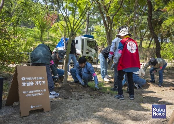 유한킴벌리 사원가족과 시민의 궁궐숲 가꾸기 참여 현장. ⓒ유한킴벌리