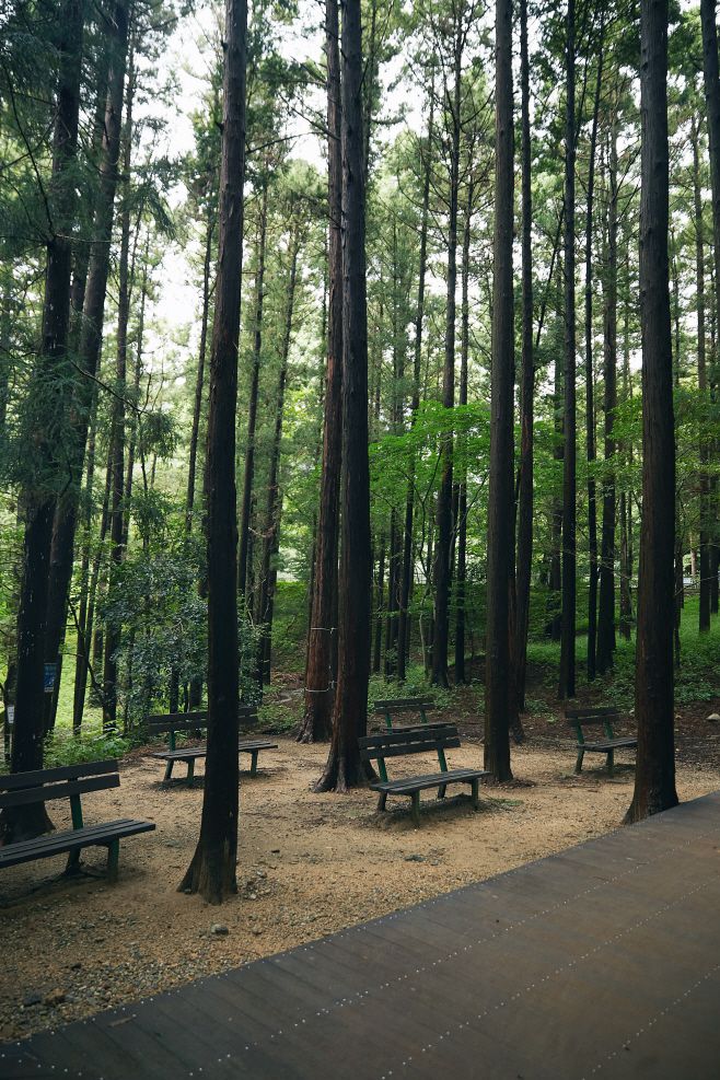 대신공원 숲길/ 한국관광공사 제공