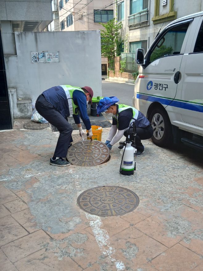 전문방역업체 직원들이 위생해충 사전 차단을 위해 맨홀 아래 독먹이제를 설치하고 있다. /제공=광진구