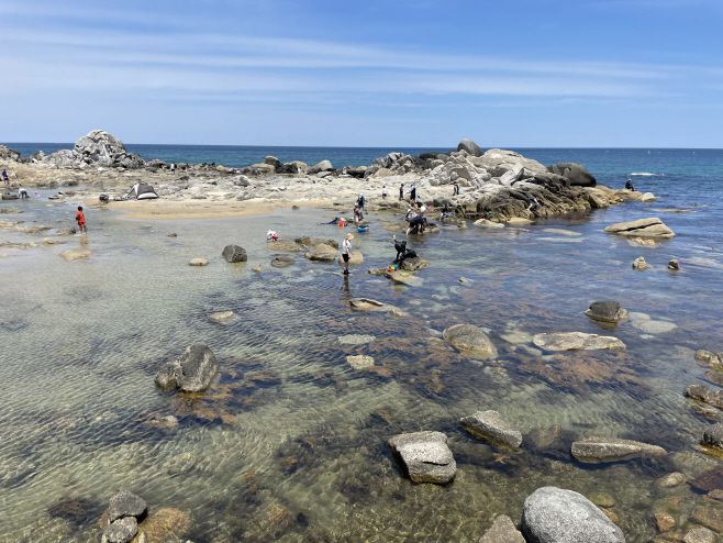 남애리해변의 한쪽 끝에는 작은 바위들이 물을 가둔 '천연풀장'이 있다./ 김성환 기자