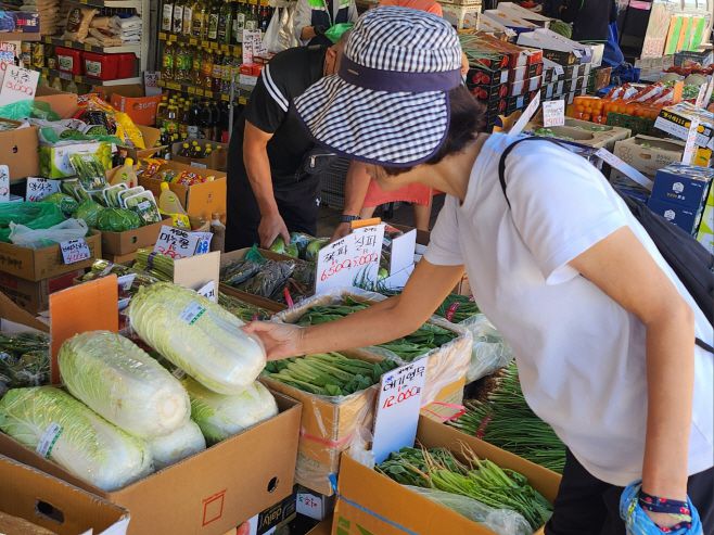 지난 9얼 24일 오후 서울 영등포구 신길동의 한 마트에서 주부 박모씨가 치솟은 배추 가격을 확인하고 있다./박주연기자