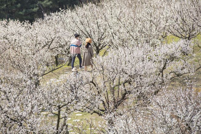 에버랜드 하늘정원길. / 에버랜드 제공
