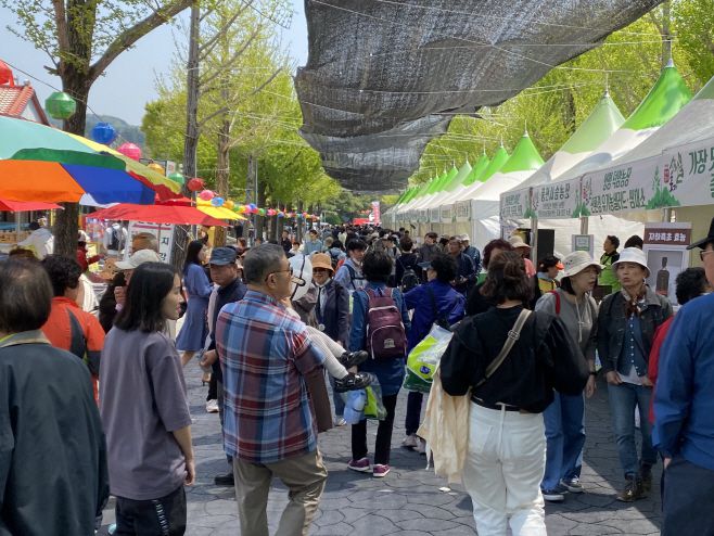 26일 오전 일찍 축제장을 찾은 관광객들이 행사장 곳곳을 둘러보고 있다./장은기 기자