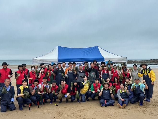 충남도 민간기업 바다숲 조성사업 협약 관련 잘피 이식체험