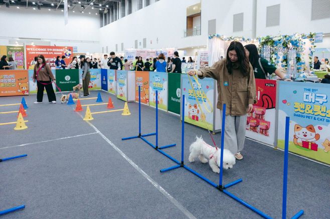 반려견 놀이터 체험./대구시