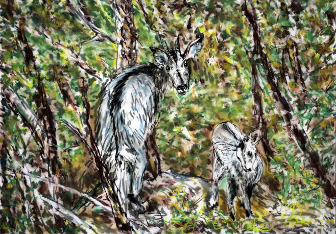 파주 DMZ 문화예술공간 통에서 다음달 30일까지 개최되는 폴린 선희 최(Pauline Sunhee Choi)의 개인전 'Accidental Nature｜우연적 자연' 전시작품 이미지. /경기문화재단