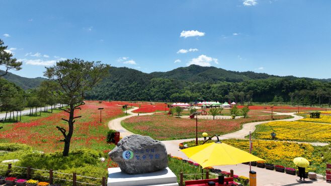 청송군은 치유와 감동을 선사하는 공간으로 산소카페 청송정원을 조성했다./청송군