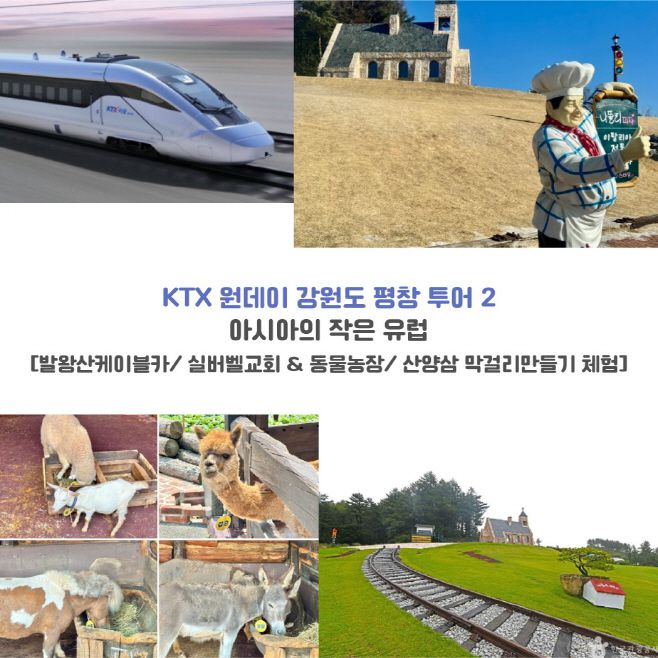 코레일관광개발 제공