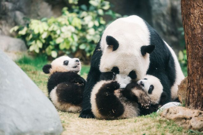 오션파크. / 홍콩관광청 제공