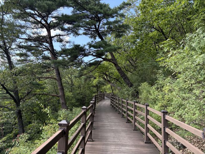 국립제천치유의숲. / 이장원 기자