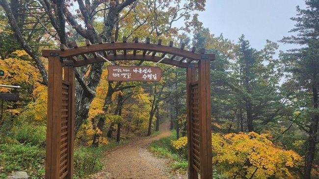 오대산 선재길/국립공원공단