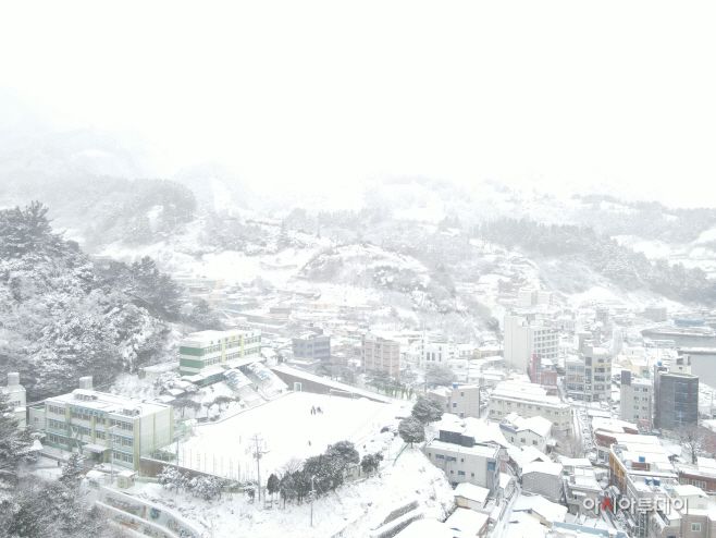 26일 울릉도에 내린 눈으로 보이는 곳은 모두 흰색으로 변했다./최성만 기자