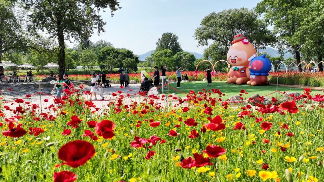 가평군이 자라섬 정원 마스터플랜 수립 용역을 추진한다. /가평군