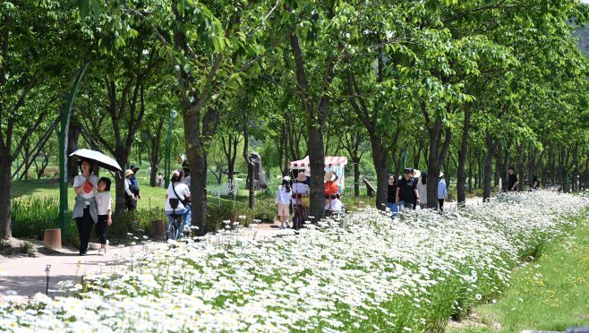 거창 창포원 전경. /거창군