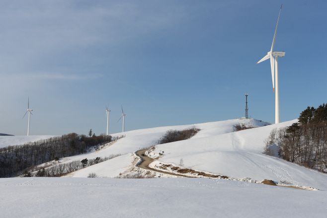 대관령 삼양목장. / 지엔씨이십일 제공