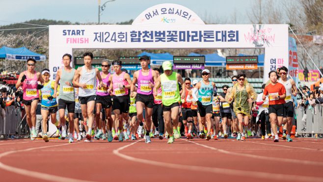 지난해 열린 제24회 합천벚꽃마라톤대회에서 선수들이 출발하고 있다. /합천군