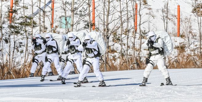 육군 특전사 장병들이 설한지 극복훈련 간 스키를 활용한 전술기동을 실시하고 있다. /육군